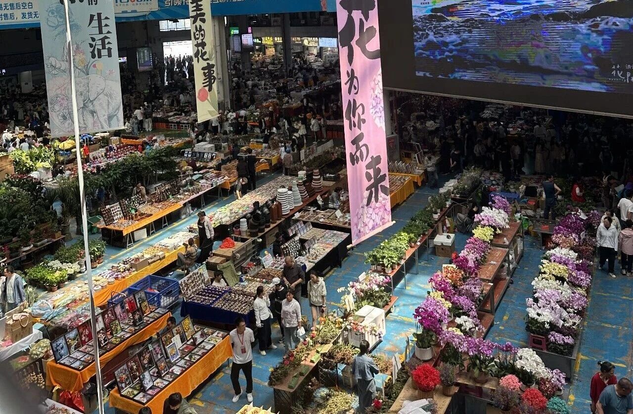 2026年薪税保人力云南昆明之旅-斗南花市