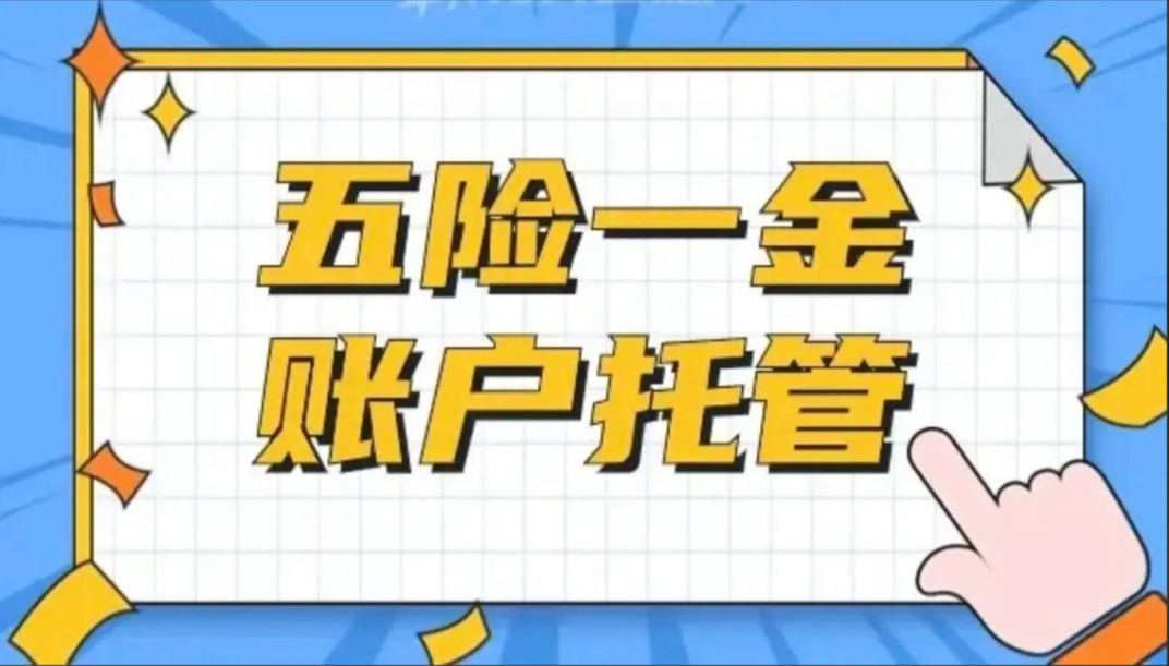 企业社保账户托管具体包含哪些服务?