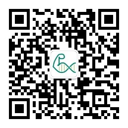 公众号