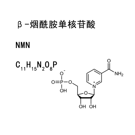β-nicotinamide mononucleotide (NMN)