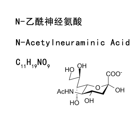 N-Acetylneuraminic Acid