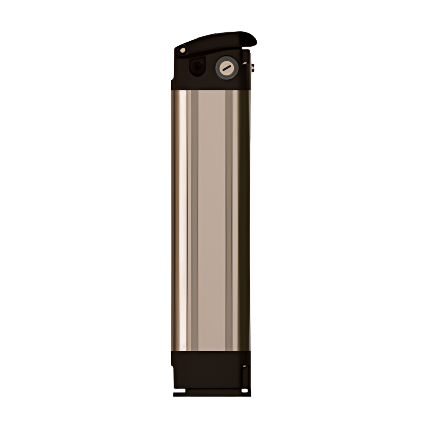 Mocean Others E-bike Battery Pack OEM Custom Silver Fish/Snail/Meerkat