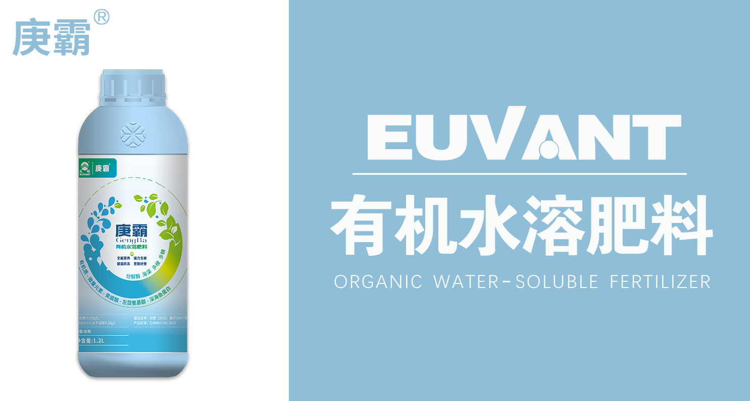 友缘庚霸