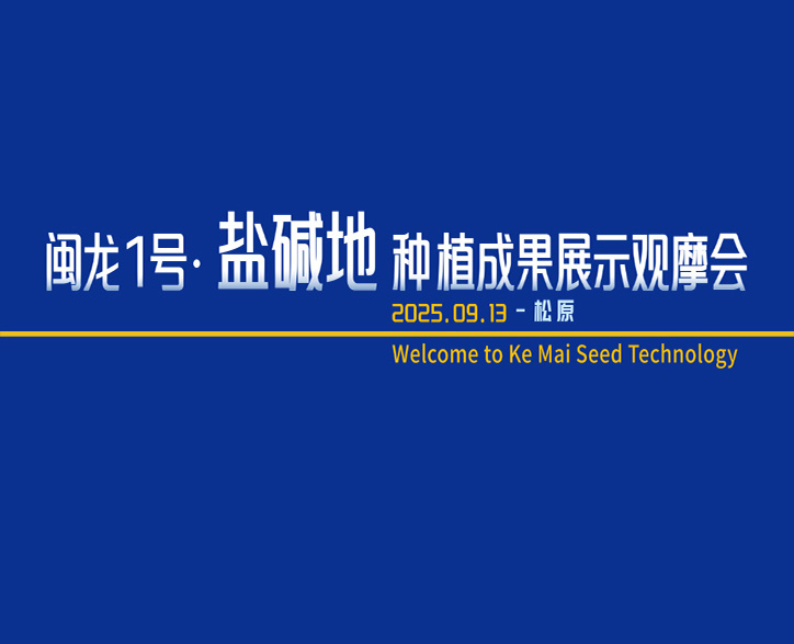 南北携手，共育良种 | 闽龙1号盐碱...