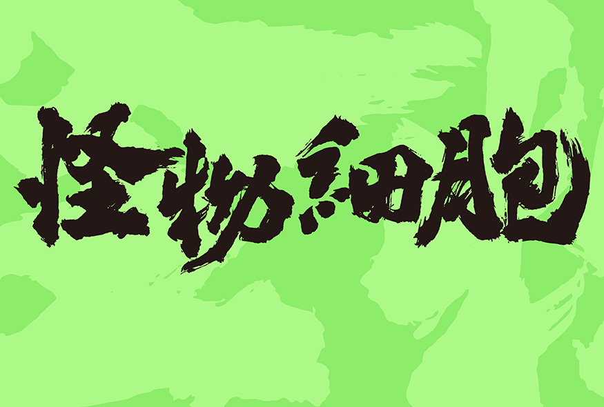 描述