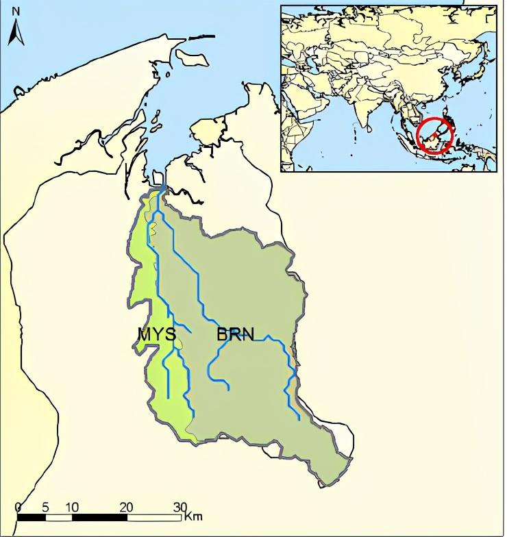 Pandaruan 185（Brunei /Malaysia）