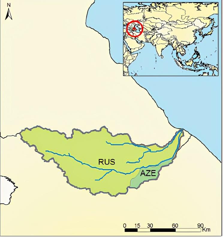 Samur 208（Azerbaijan /Russia）