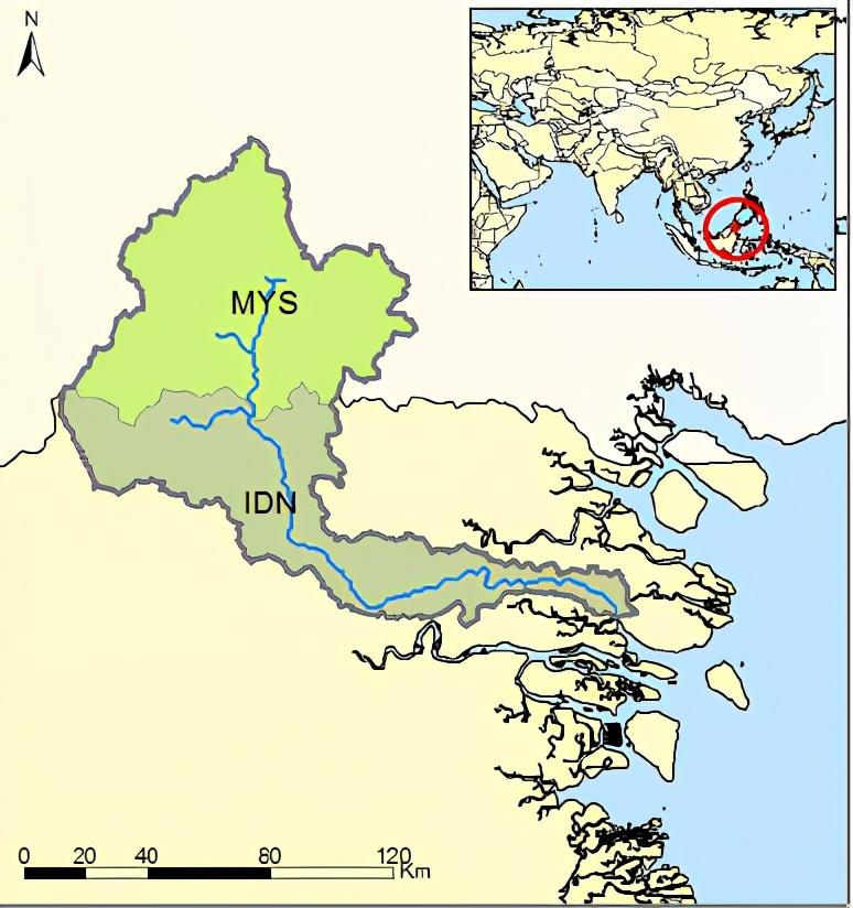 Sembakung 225（Indonesia /Malaysia）