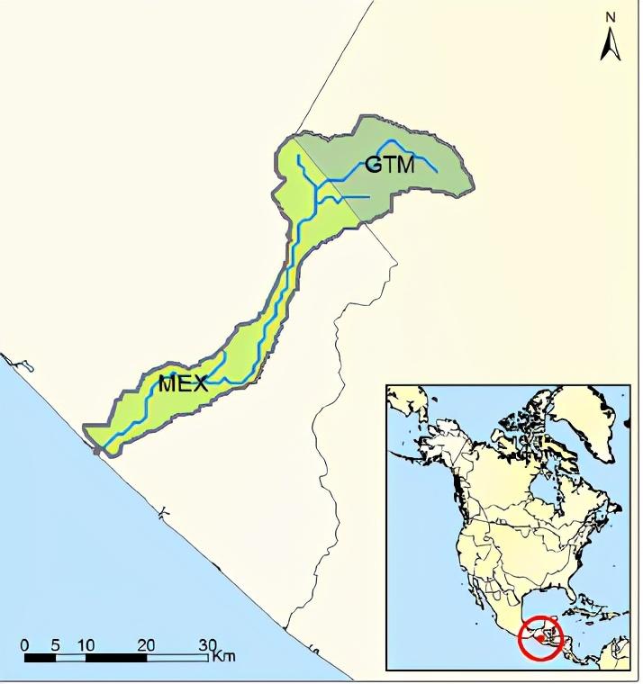 Coatan Achute 53（Guatemala /Mexico）