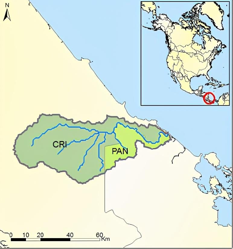 Sixaola 218（Costa Rica /Peru）