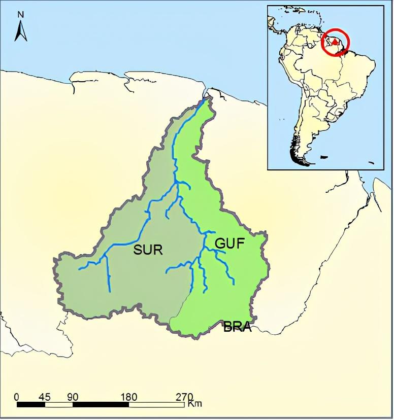 Maroni 154（Brazil /French Guiana /Su...