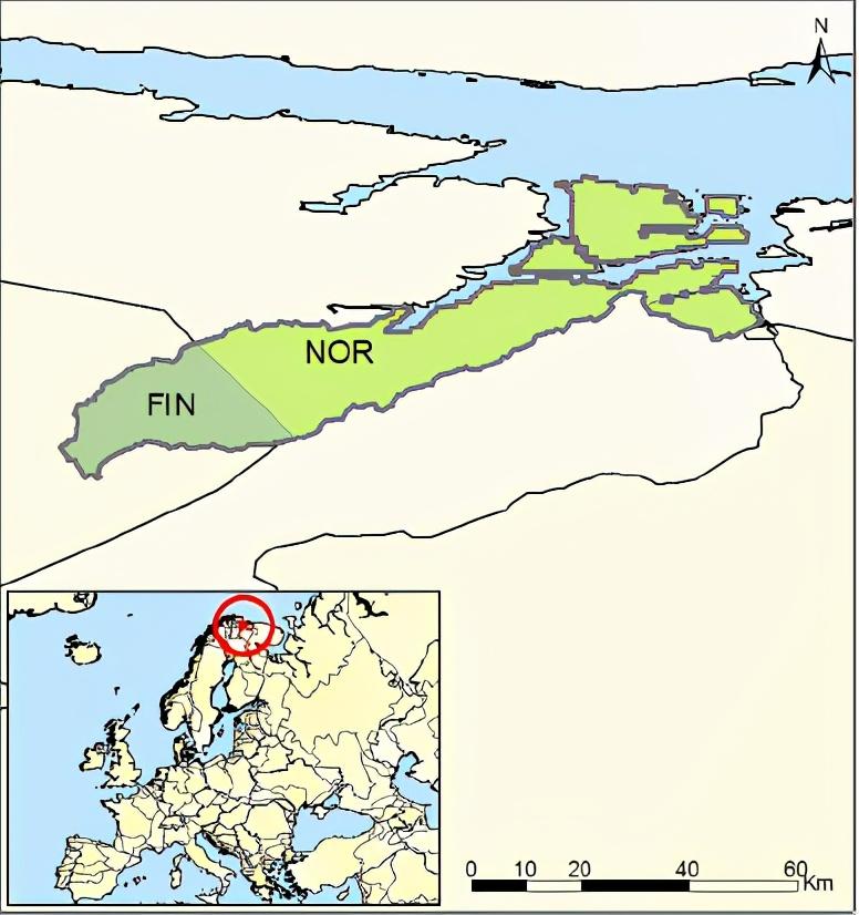 Naatamo 157（Finland /Norway）