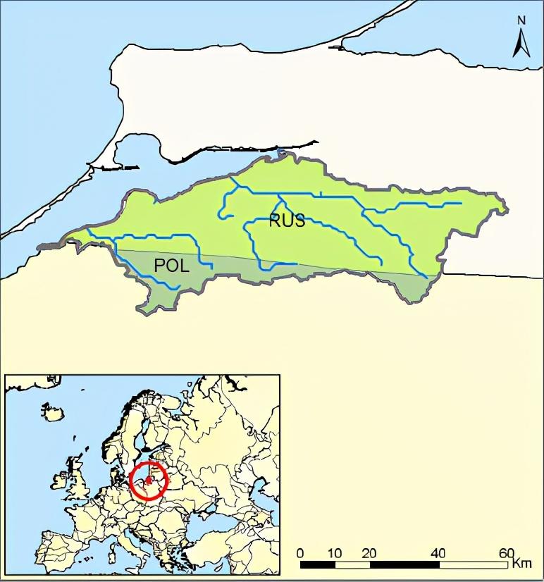 Prohladnaja 187（Poland /Russia）