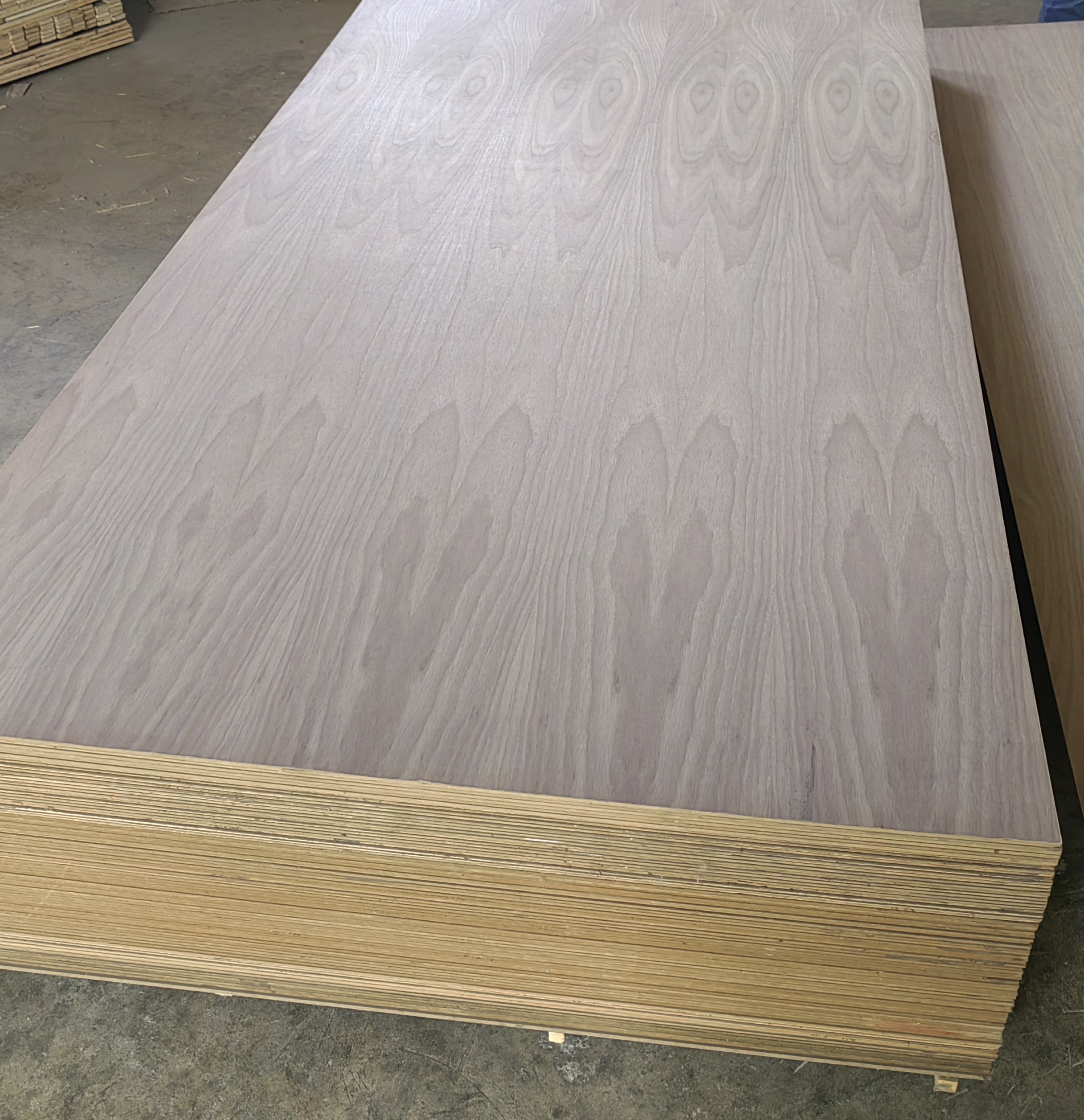 Black Walnut