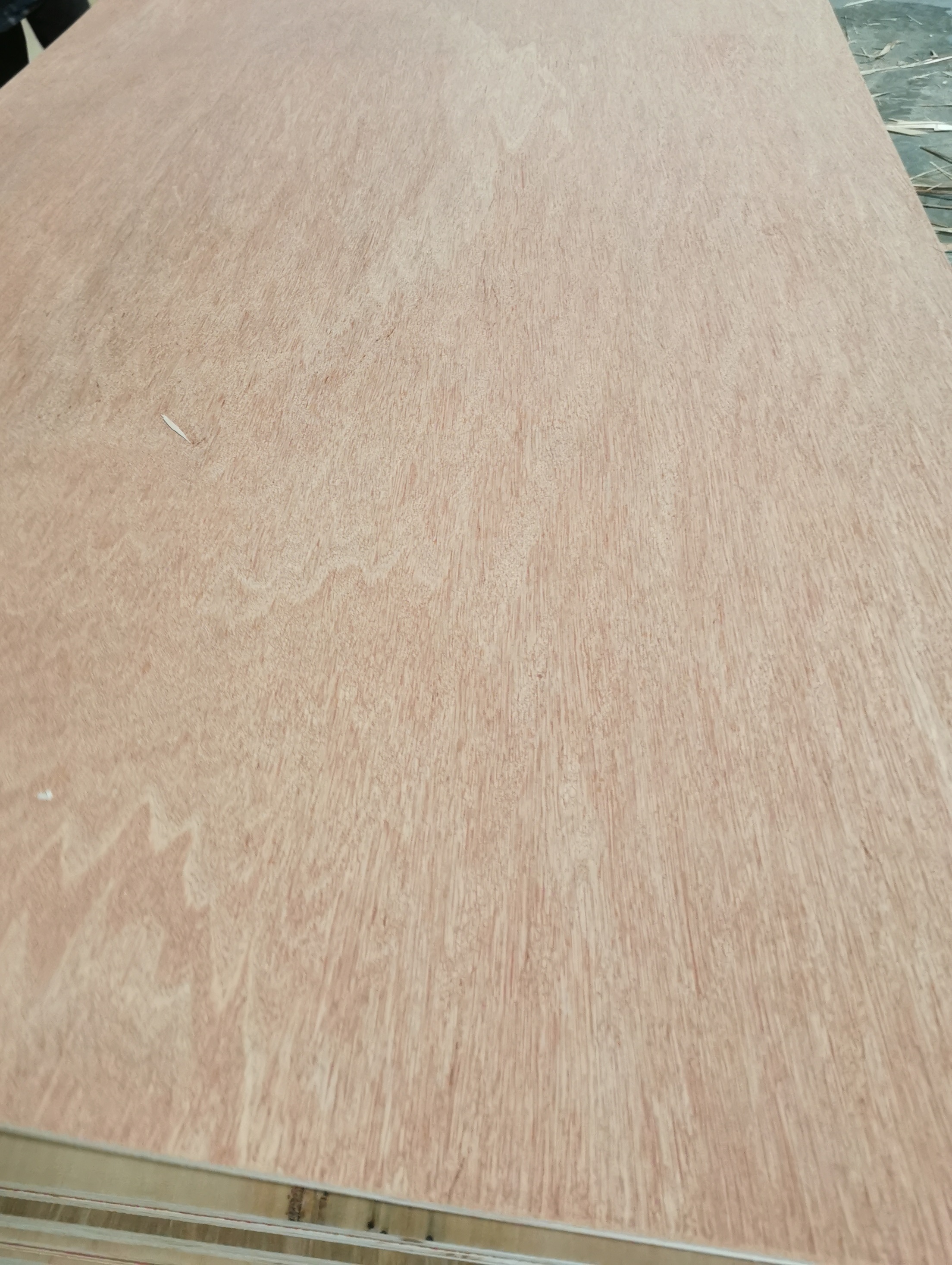 Bintangour Faced Plywood