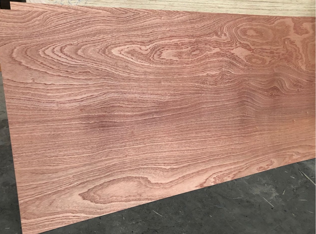 Sapele Faced Plywood