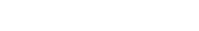 描述