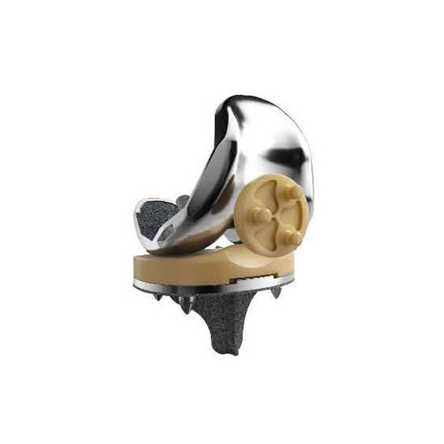 PreciTotal Knee System