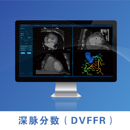 深脉分数（DVFFR）