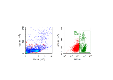 Anti- Human CD4 (FITC)