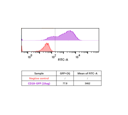 CD19-GFP