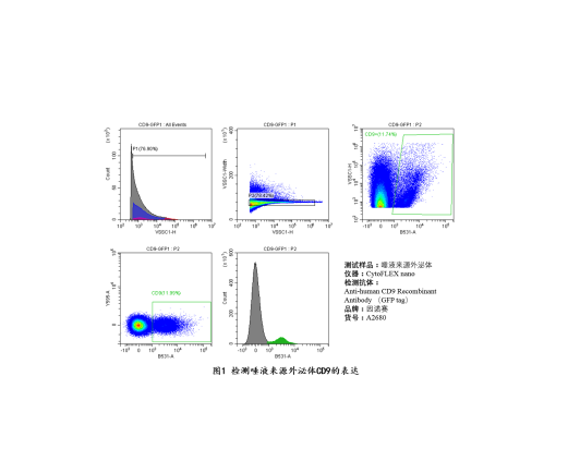 Anti-human CD9 Recombinant Antibody （GFP tag）