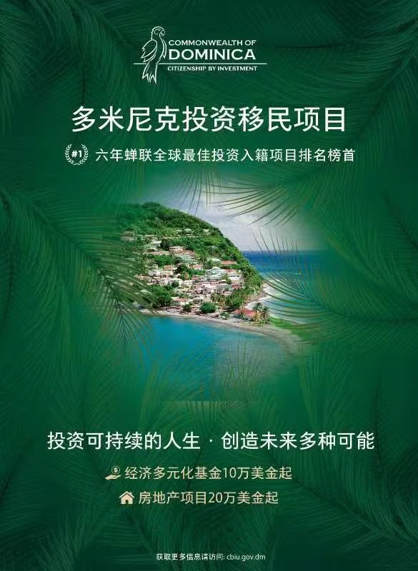 多米尼克
