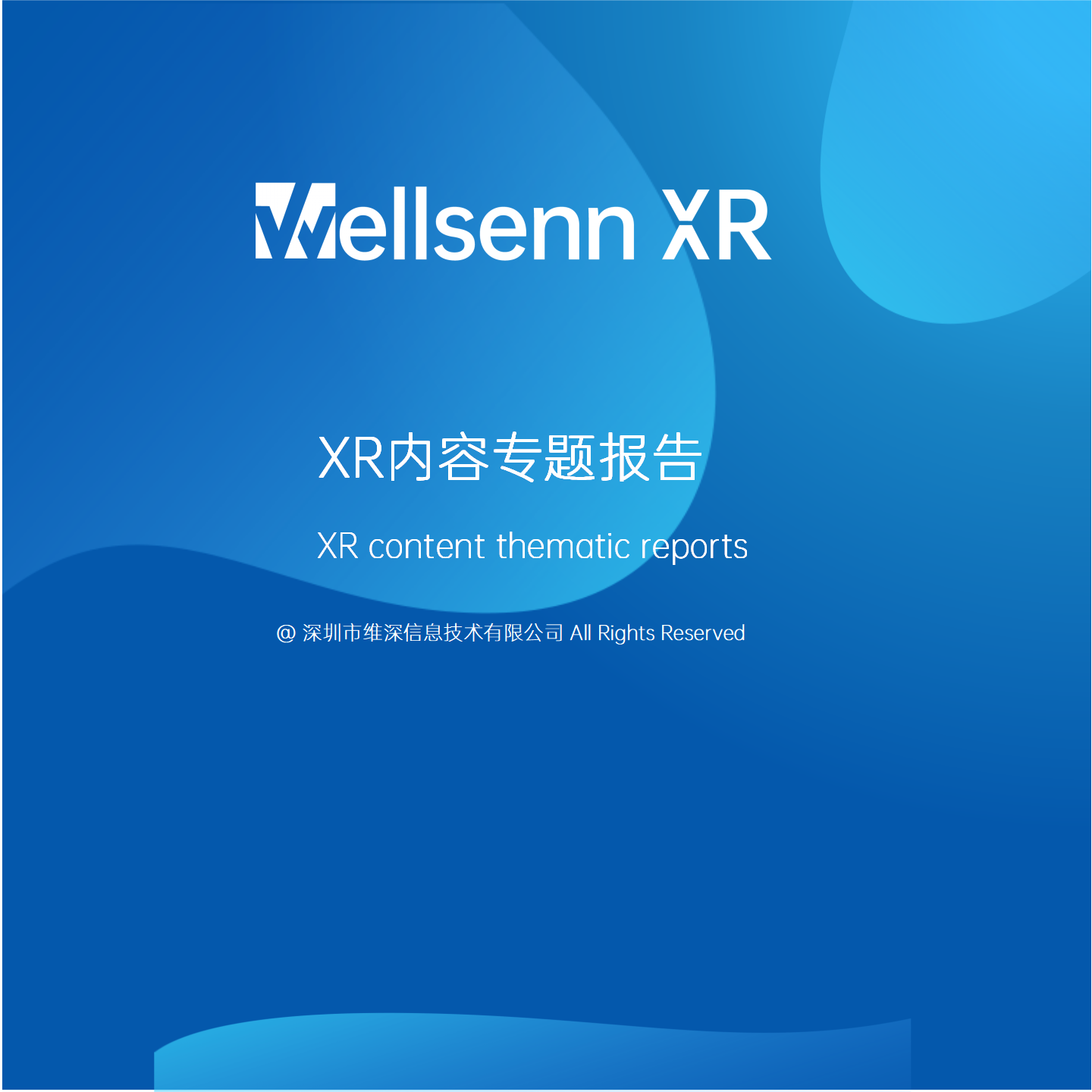 XR thematic reports are based on hardware or software content research related to XR and are presented in the form of reports analyzed by analysts