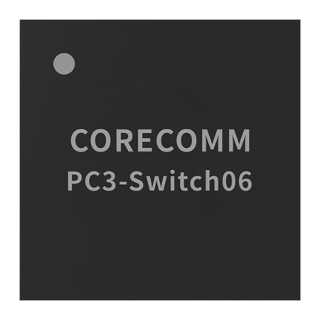 PC3-Switch06