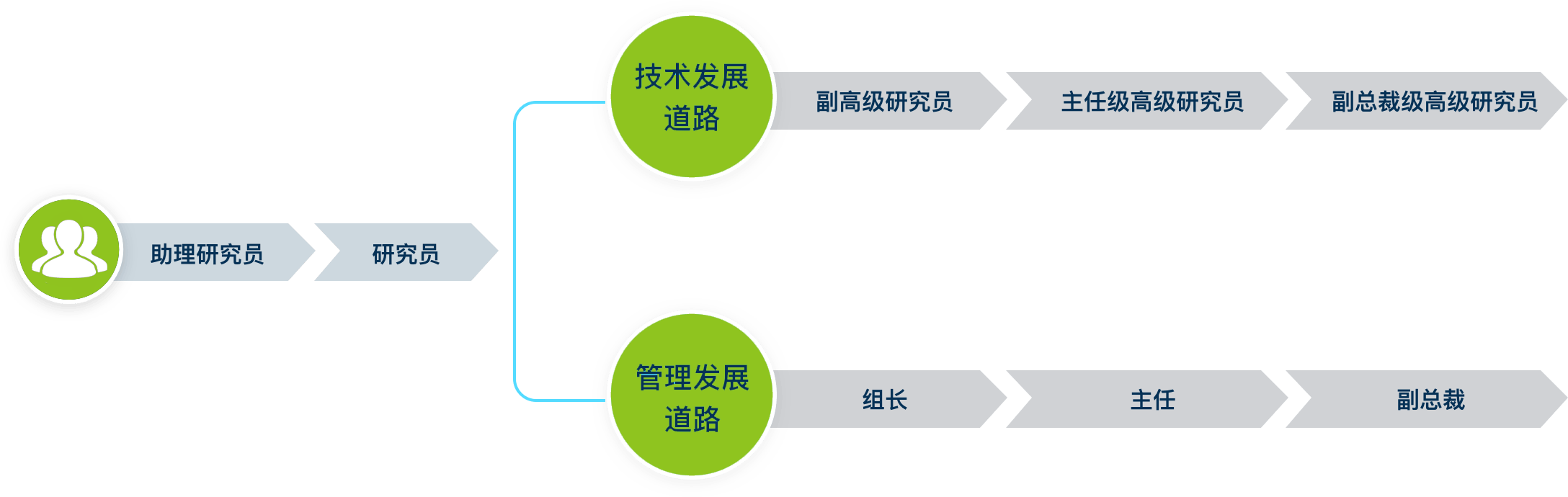 描述