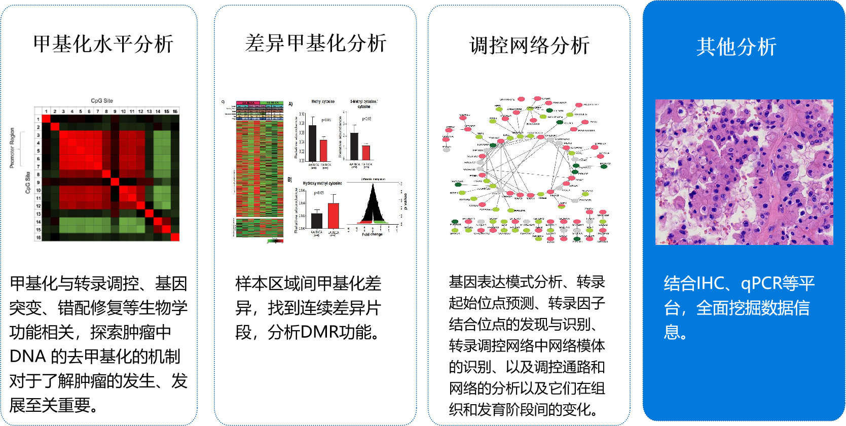 通过基因组测序，可以分析基因突变，还可以检测DNA错配及修复、基因变化、克隆进化，对临床研究有极大作用。
