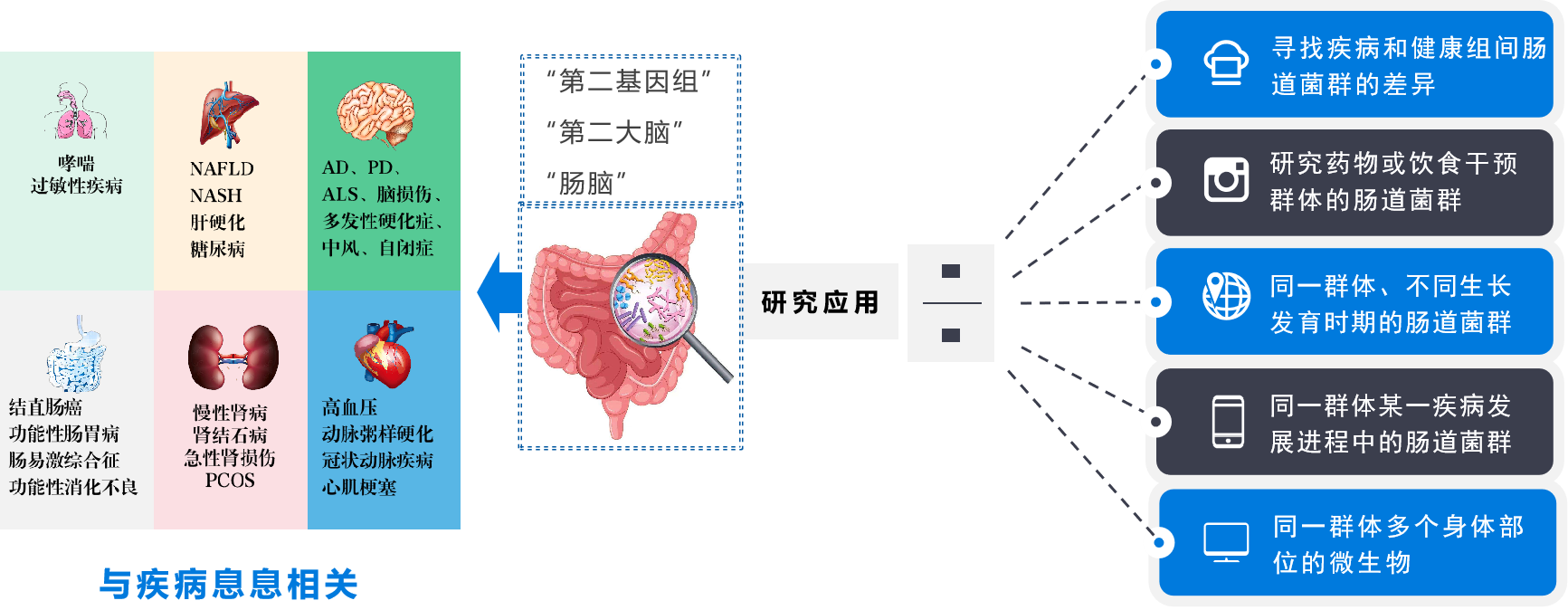 寄居在人体肠道内的微生物群，基因总数约为人体基因数目的150倍，肠道菌群特征与疾病息息相关。