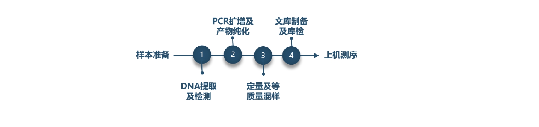 实验流程