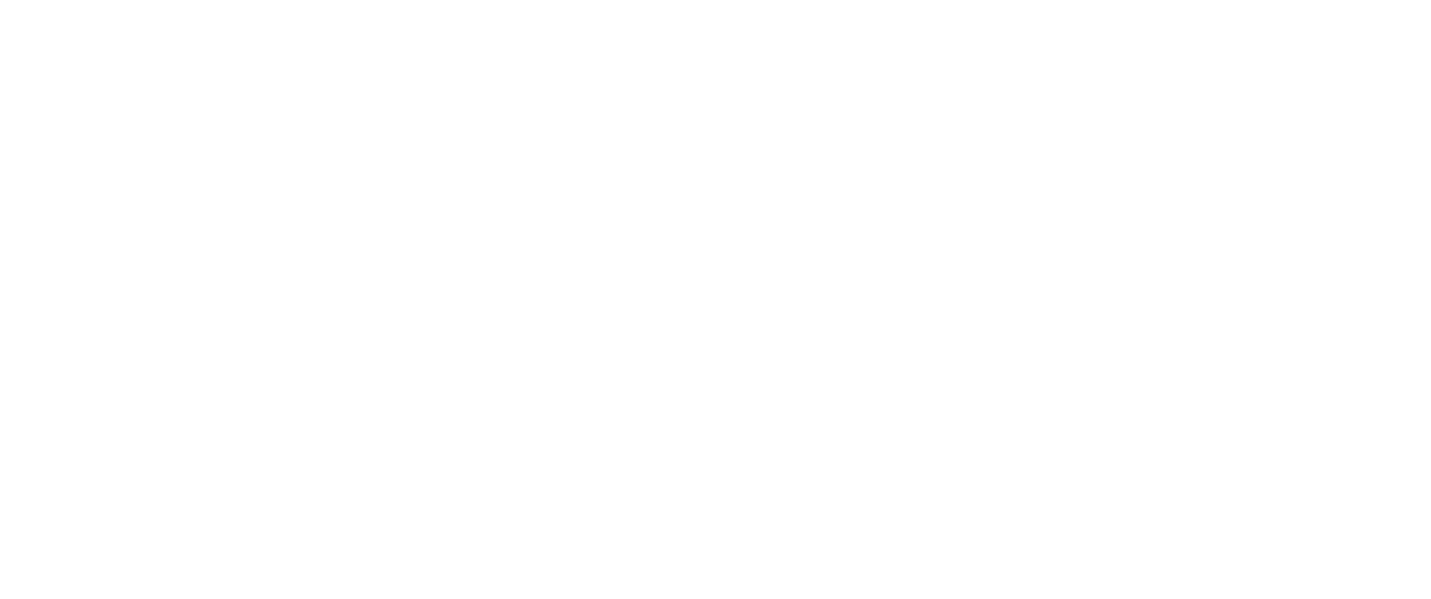 描述