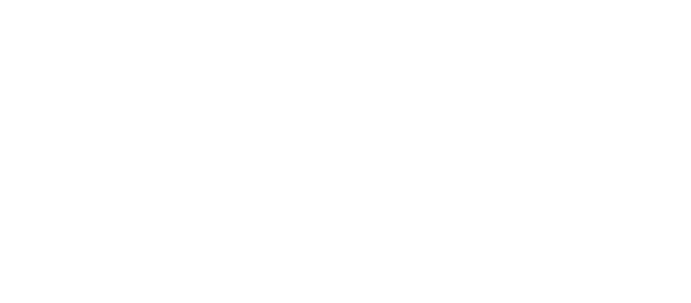 描述