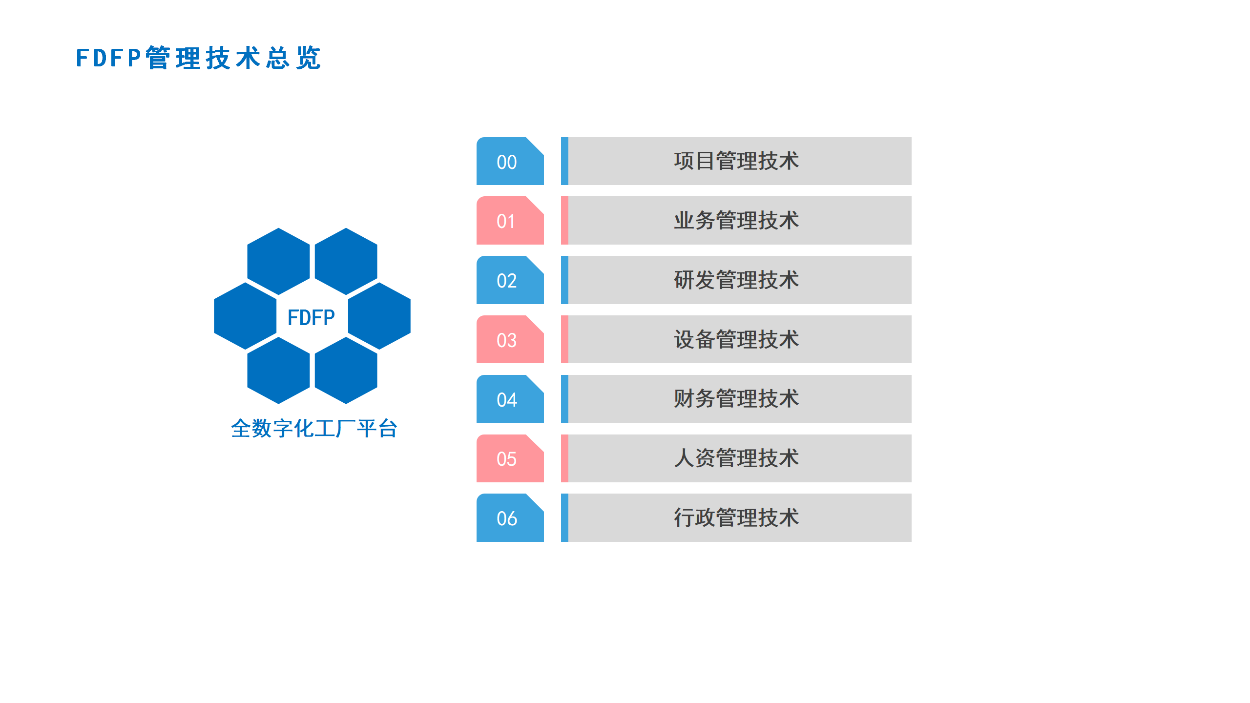 01FDFP管理技术总览