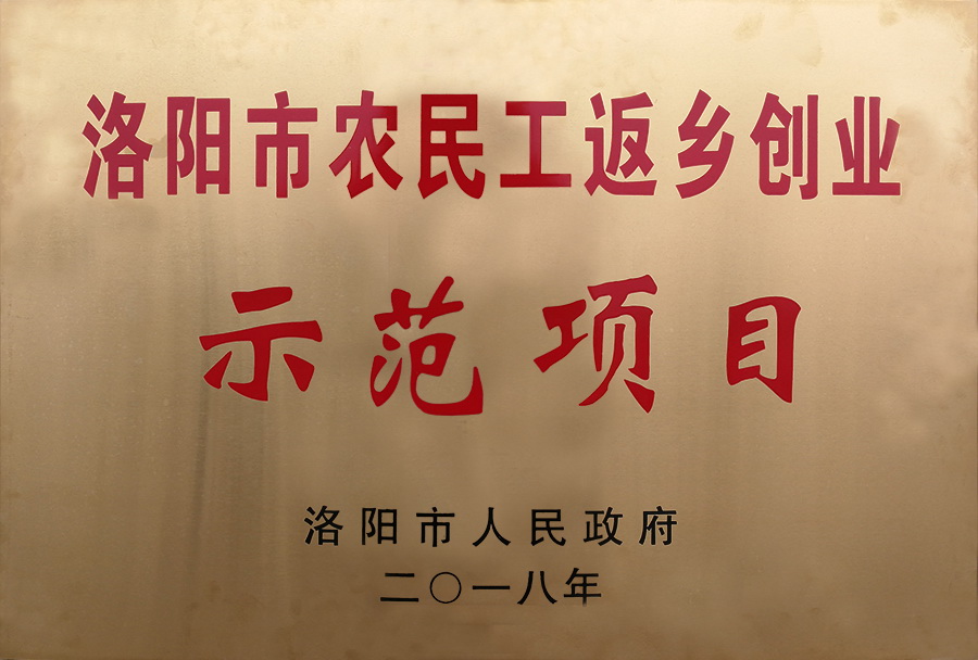 洛阳市农民工返乡创业示范项目