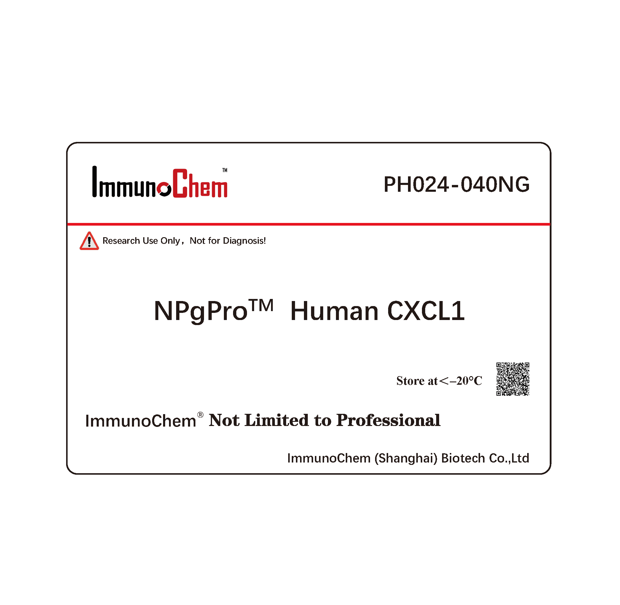 Human CXCL1