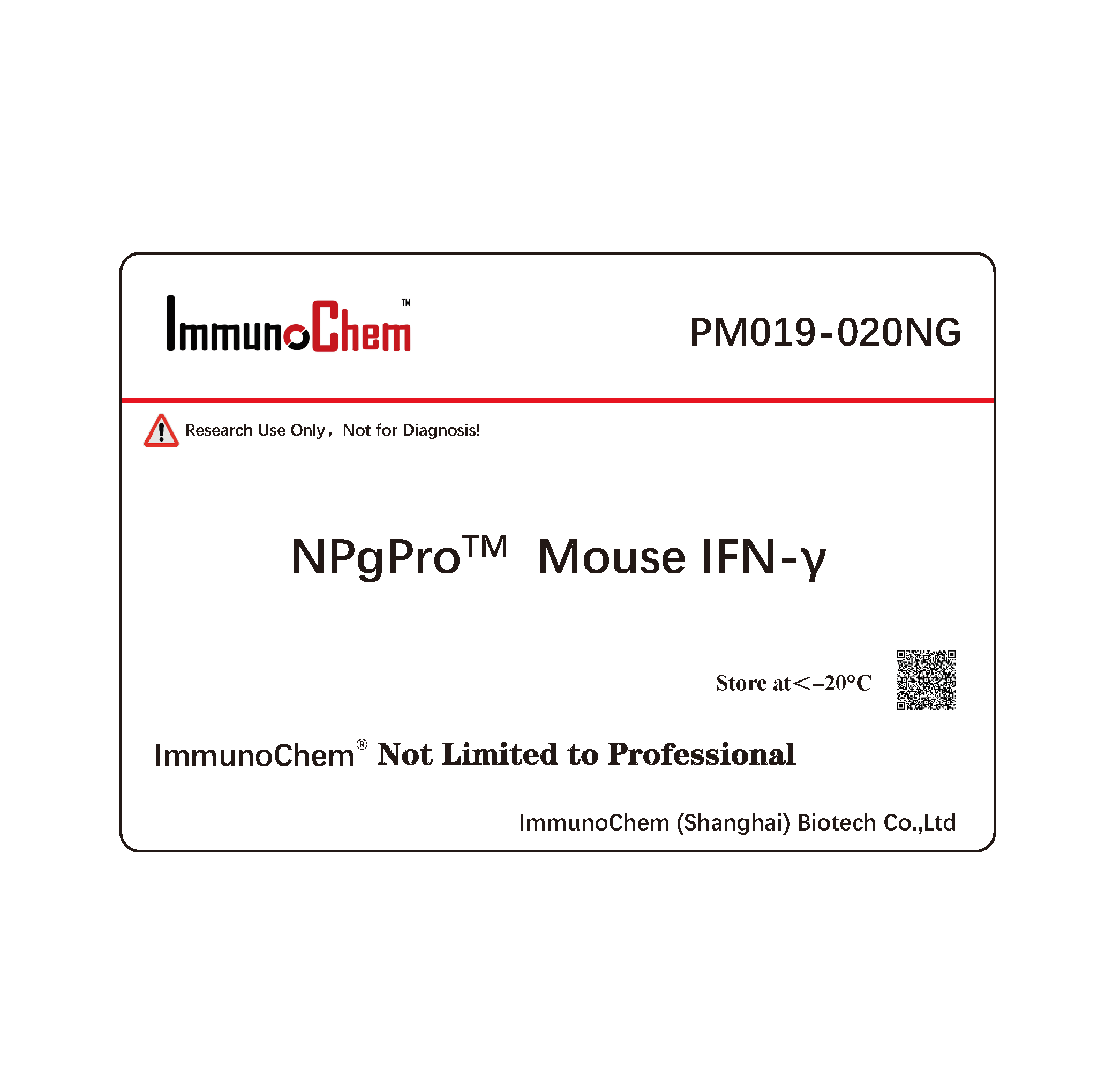 Mouse IFN-γ