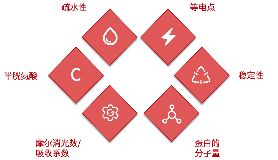 描述