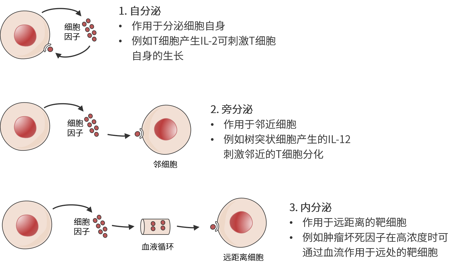描述