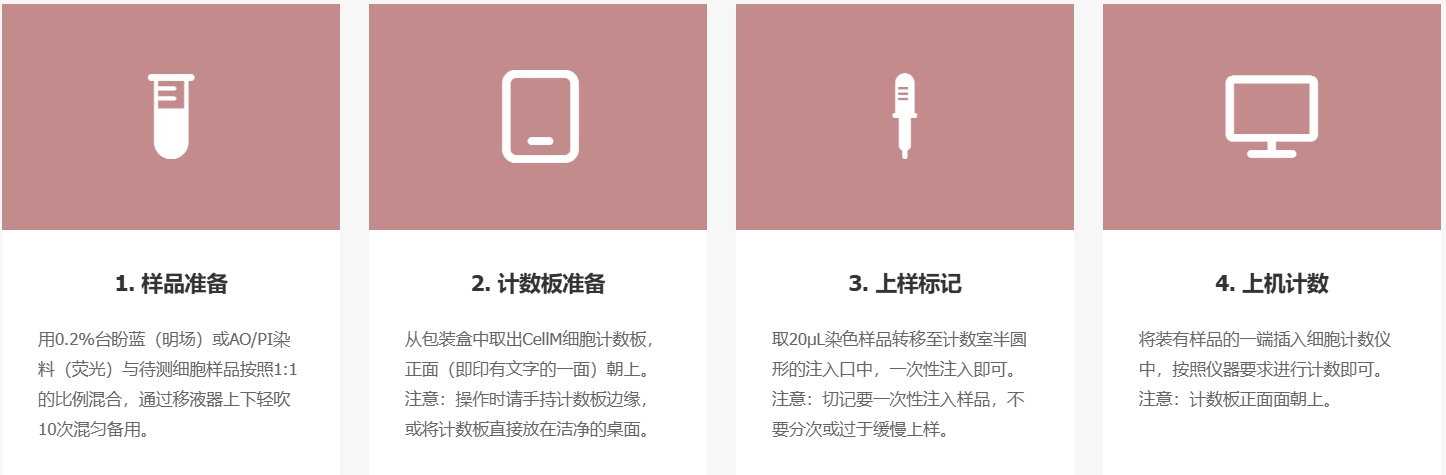 描述
