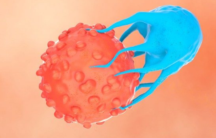 细胞疗法：“活体药物”的进化