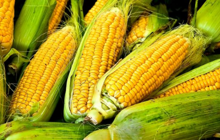 ScreenShot_2025-12-15_162841_956