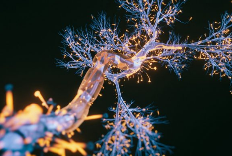 ScreenShot_2026-01-04_112316_203