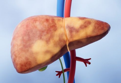 ScreenShot_2026-01-26_101620_888