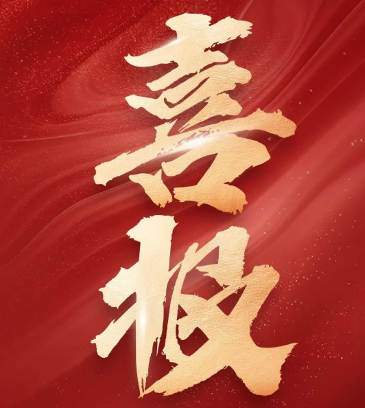 喜报！睿瀚医疗荣获雄安医疗大健康技术应用大赛三等奖！