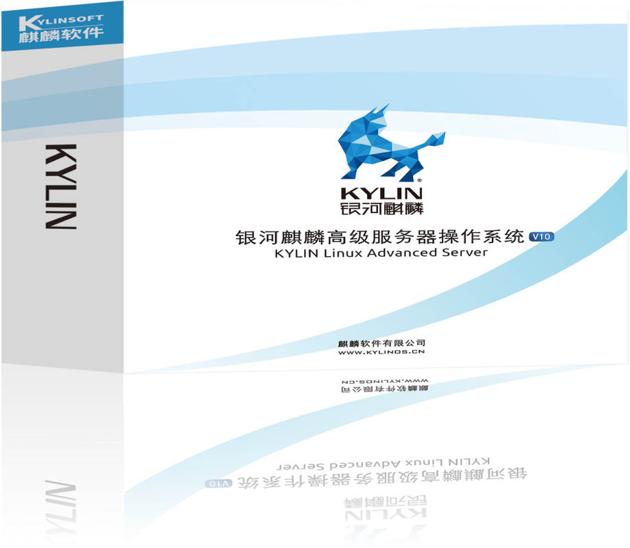 银河麒麟 高级服务器操作系统 V10 一年服务