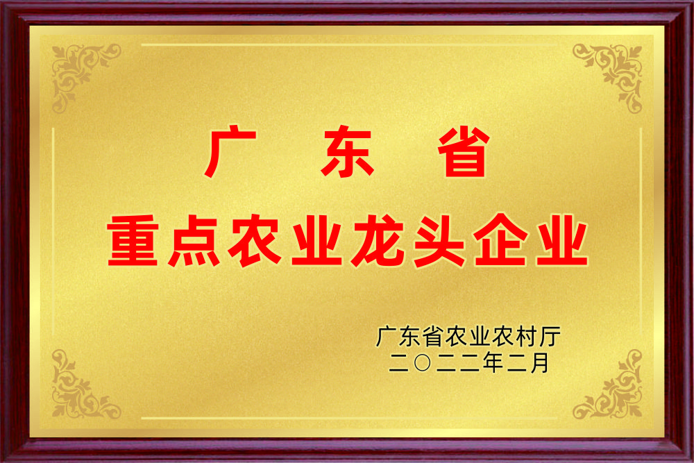 描述