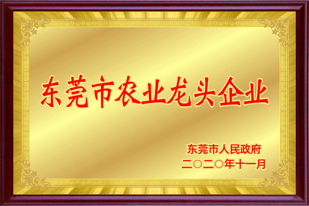 描述